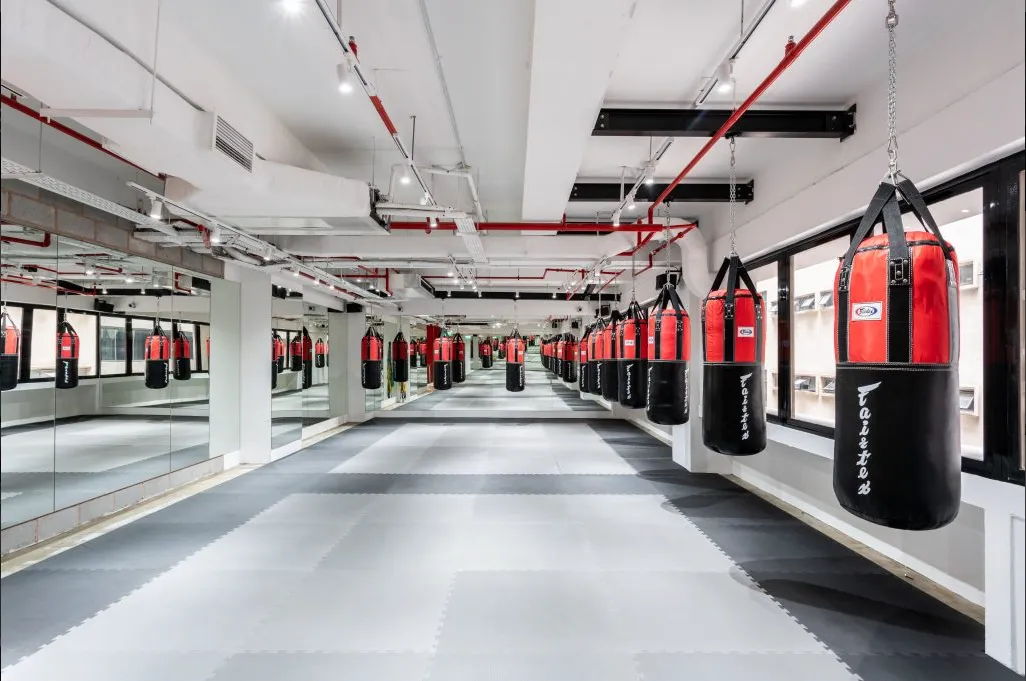 The Ring Boxing Community II